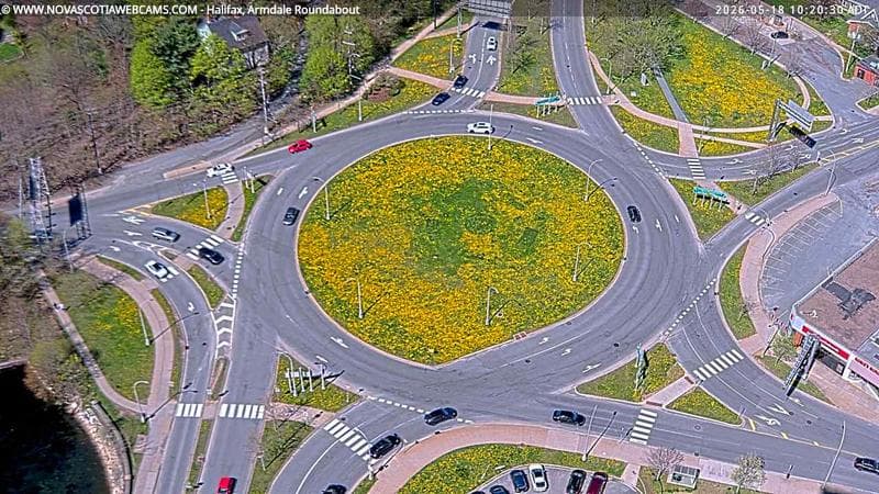 Armdale Roundabout 2