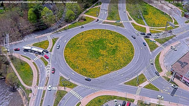 Armdale Roundabout 2