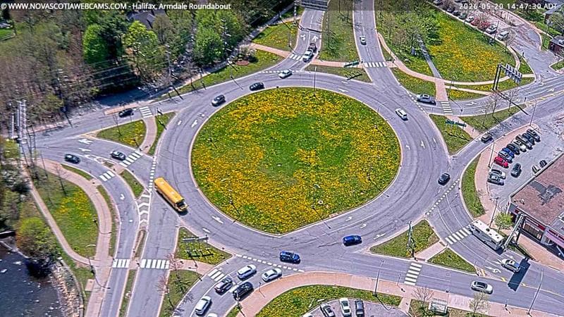 Armdale Roundabout 2