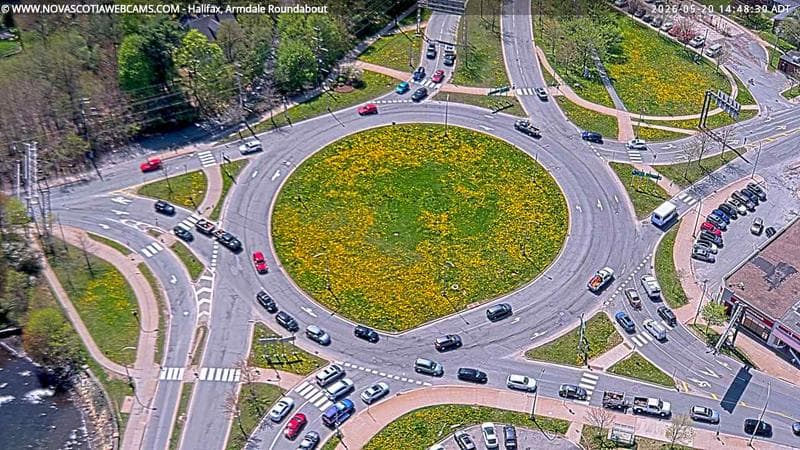Armdale Roundabout 2