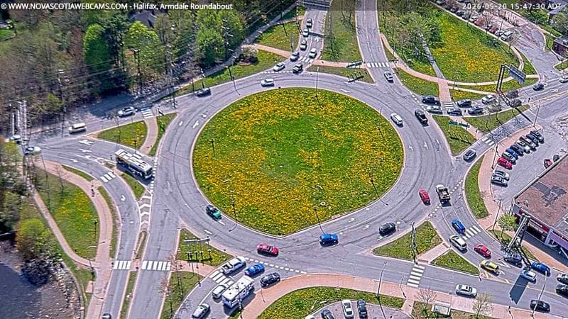 Armdale Roundabout 2