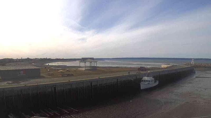 Belliveau Cove Harbour