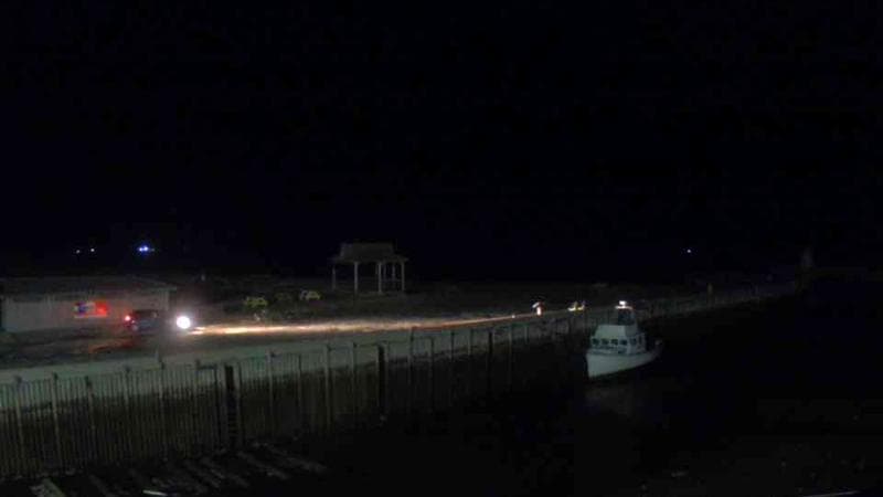 Belliveau Cove Harbour