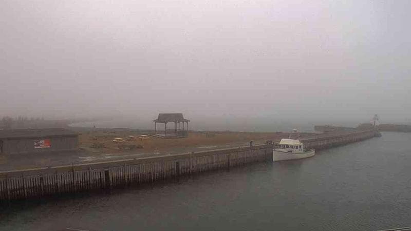 Belliveau Cove Harbour
