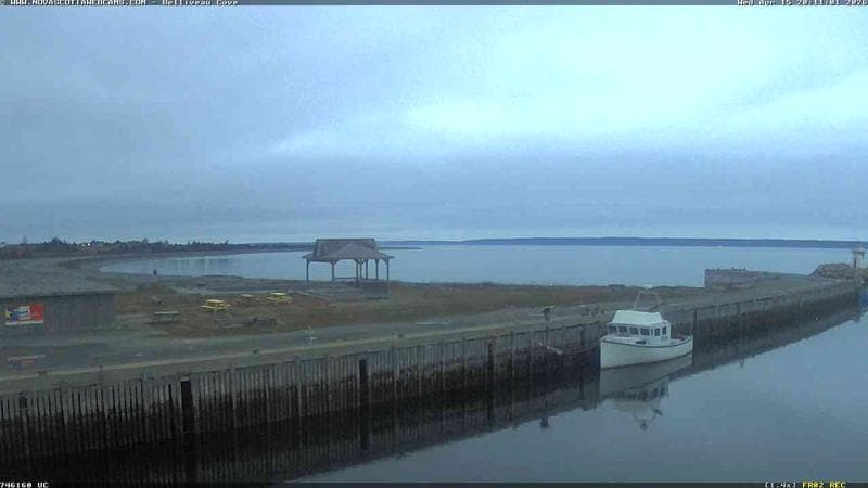 Belliveau Cove Harbour