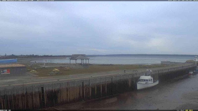 Belliveau Cove Harbour