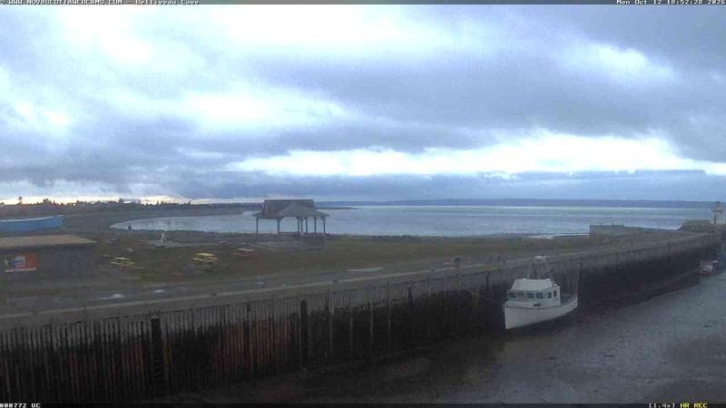 Belliveau Cove Harbour