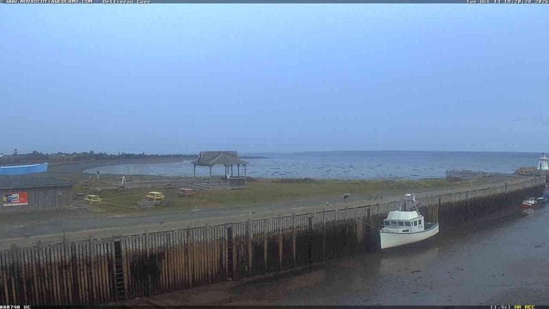 Belliveau Cove Harbour