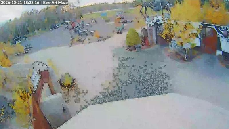 Bernart Art Maze