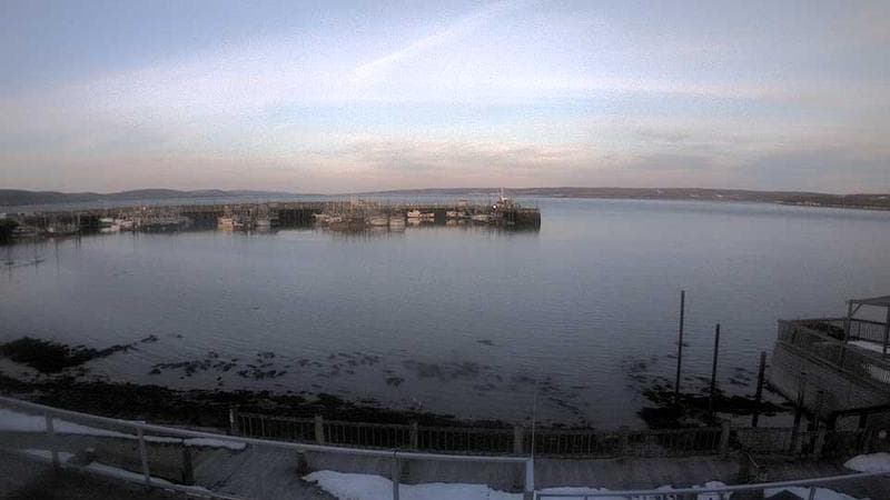 Digby Harbour