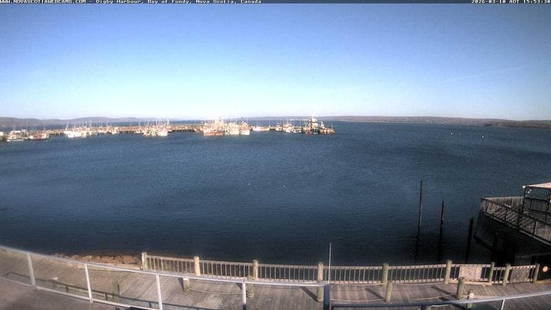 Digby Harbour