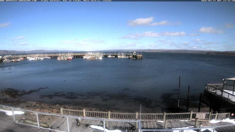 Digby Harbour