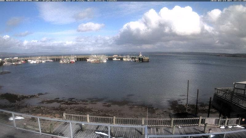 Digby Harbour