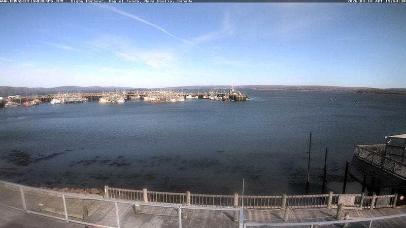 Digby Harbour