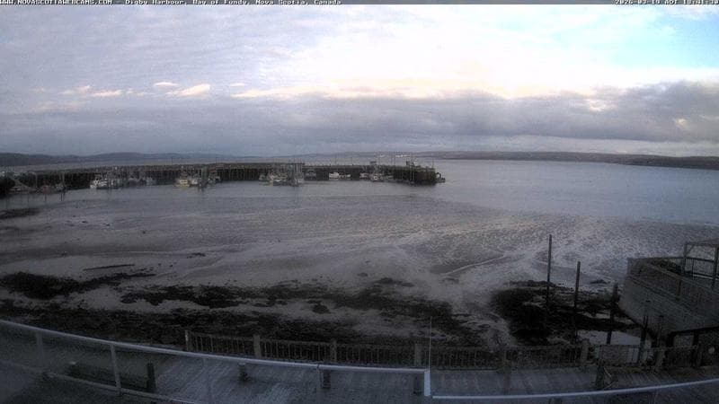 Digby Harbour