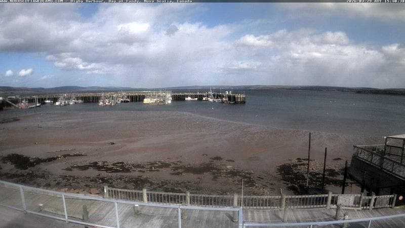 Digby Harbour