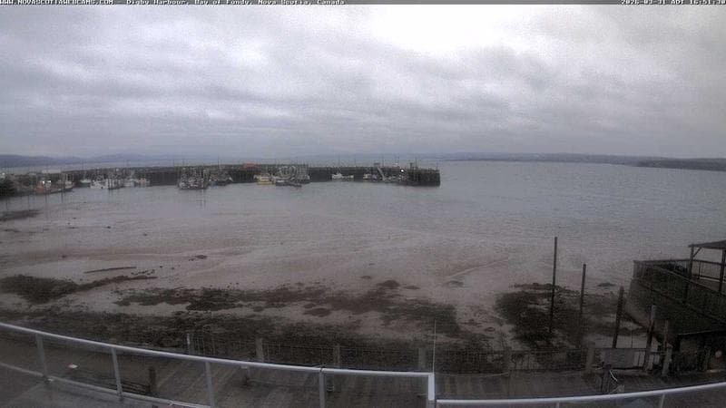 Digby Harbour