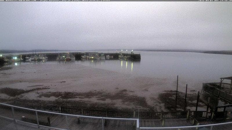 Digby Harbour