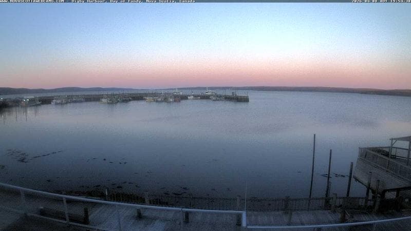 Digby Harbour