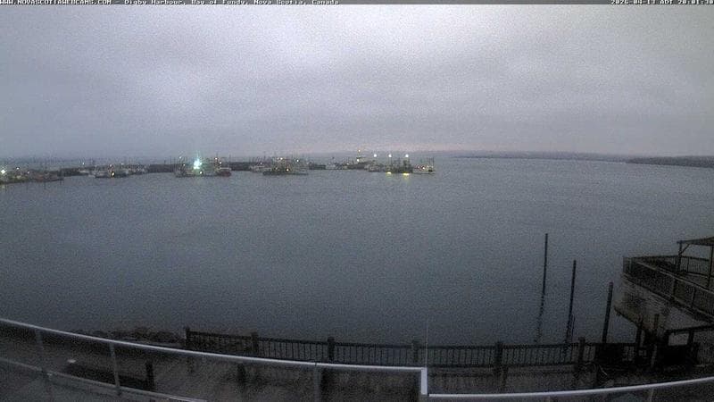 Digby Harbour