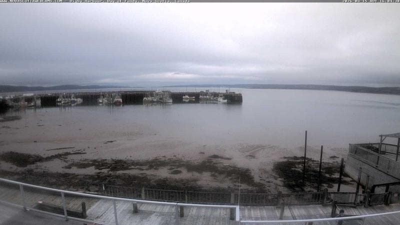 Digby Harbour