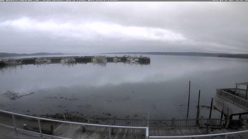 Digby Harbour
