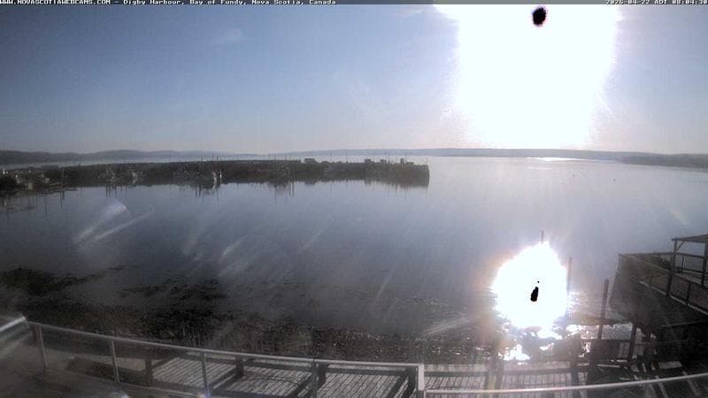 Digby Harbour