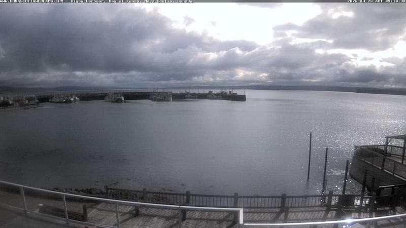 Digby Harbour