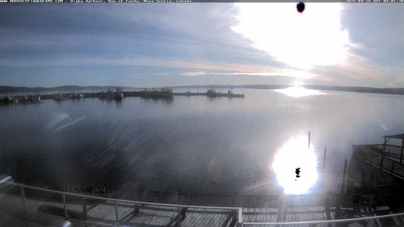 Digby Harbour