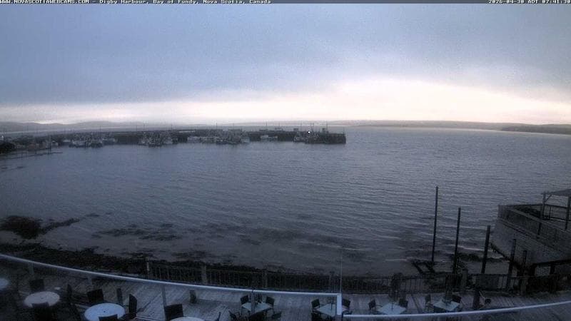Digby Harbour