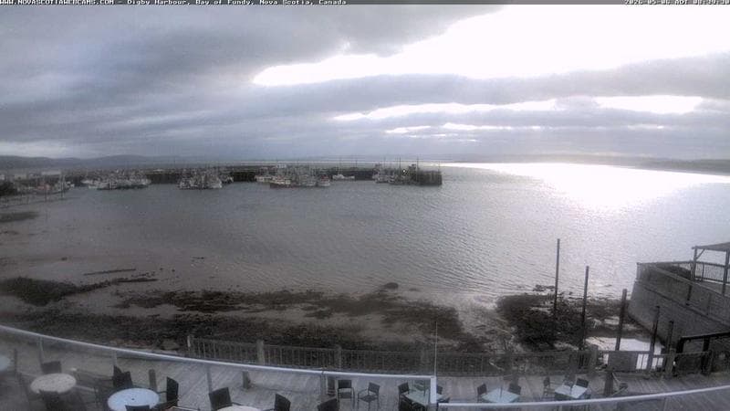 Digby Harbour