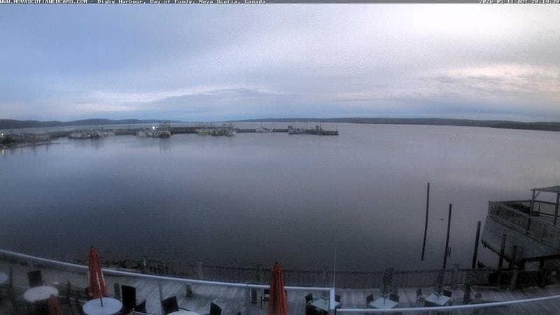 Digby Harbour