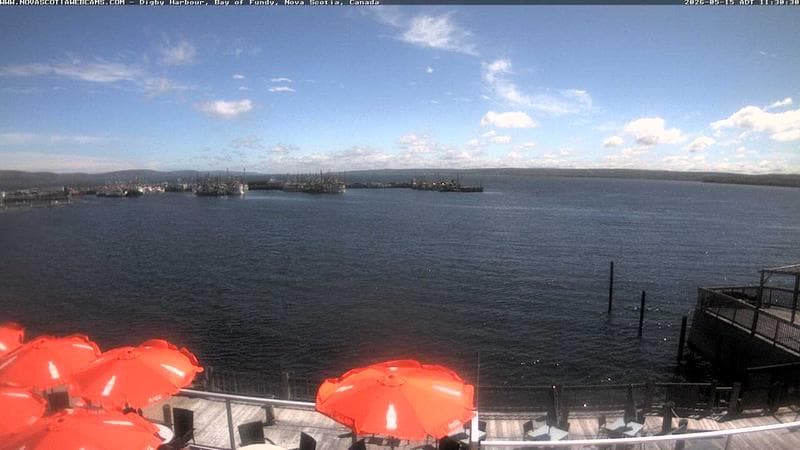 Digby Harbour