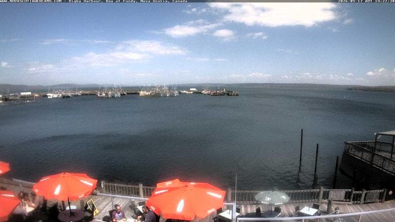 Digby Harbour
