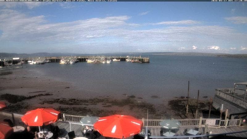 Digby Harbour