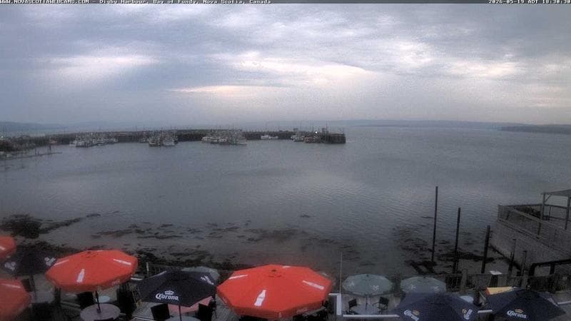 Digby Harbour