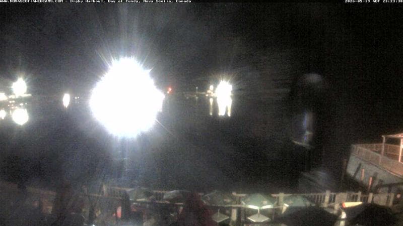 Digby Harbour