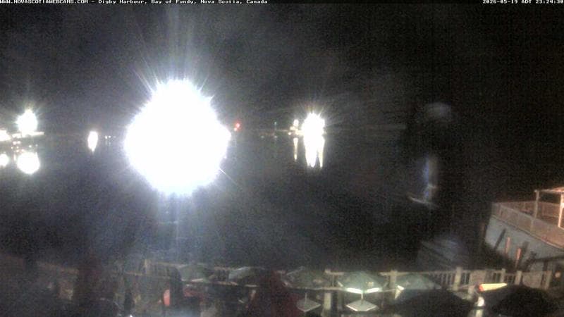Digby Harbour