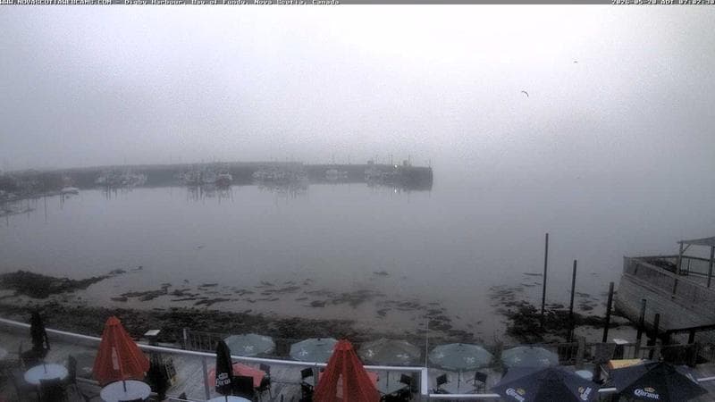 Digby Harbour