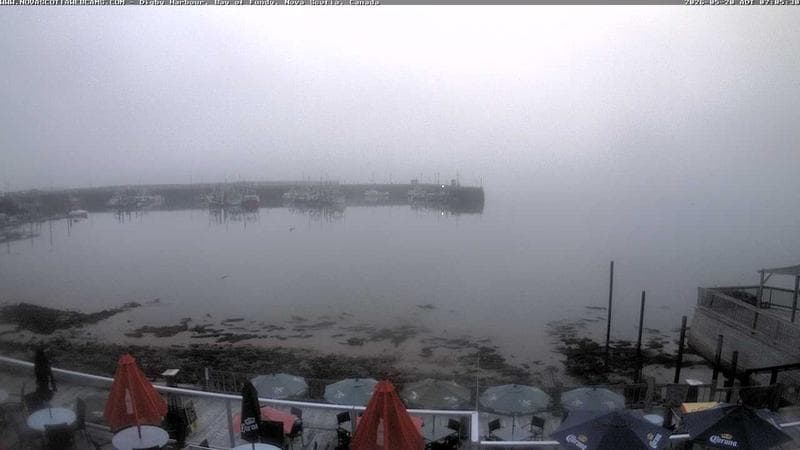 Digby Harbour