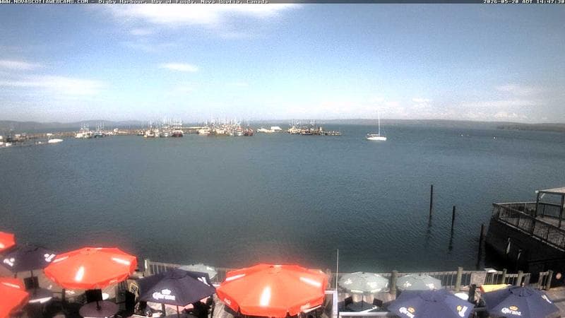 Digby Harbour