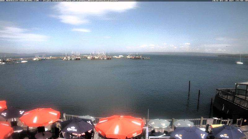 Digby Harbour