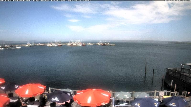 Digby Harbour