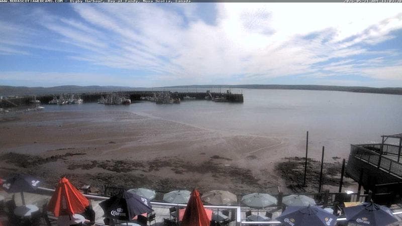 Digby Harbour