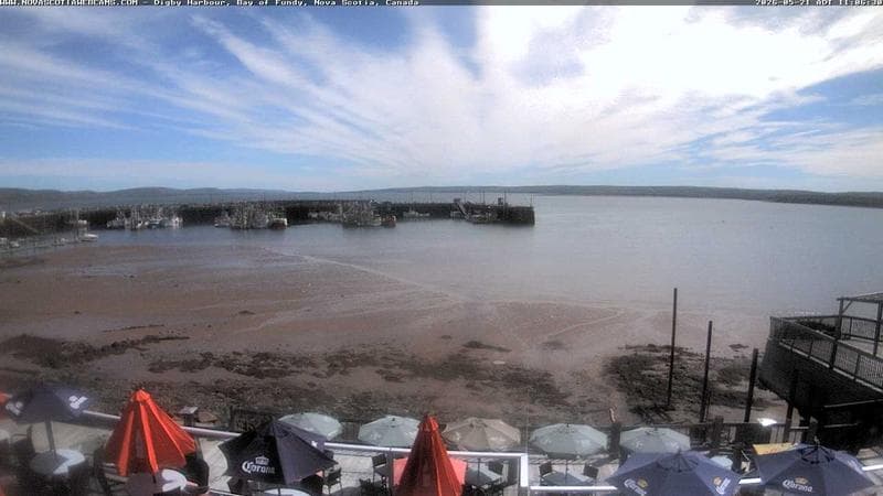 Digby Harbour