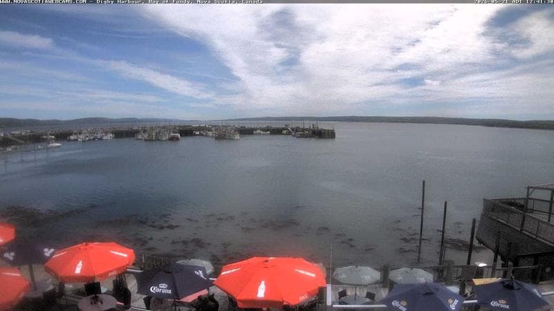 Digby Harbour