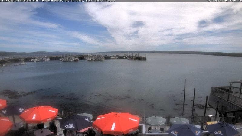 Digby Harbour