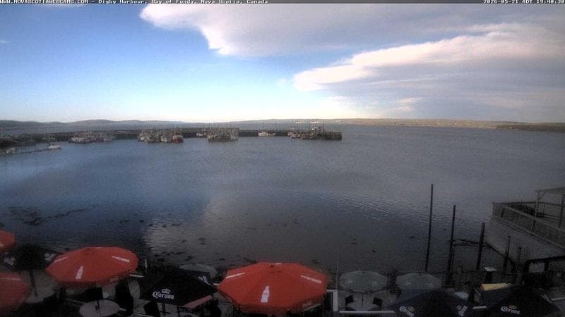 Digby Harbour