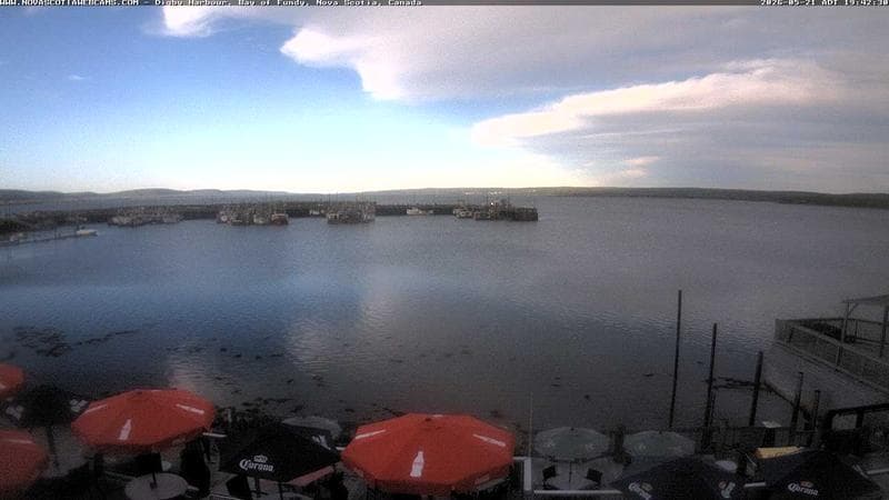 Digby Harbour