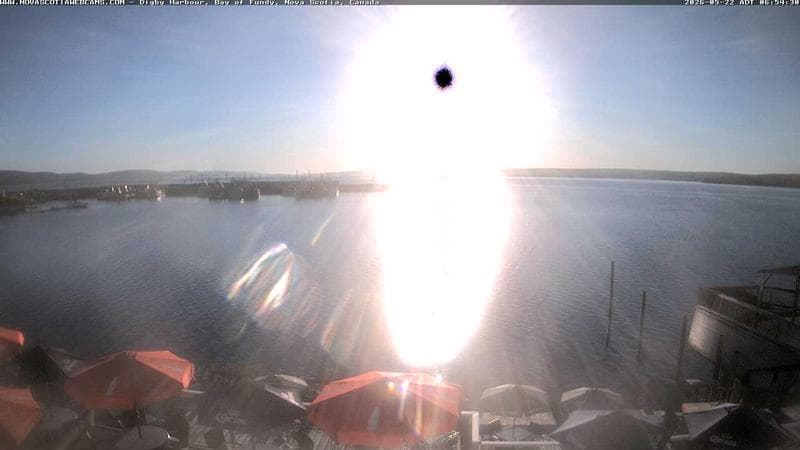 Digby Harbour